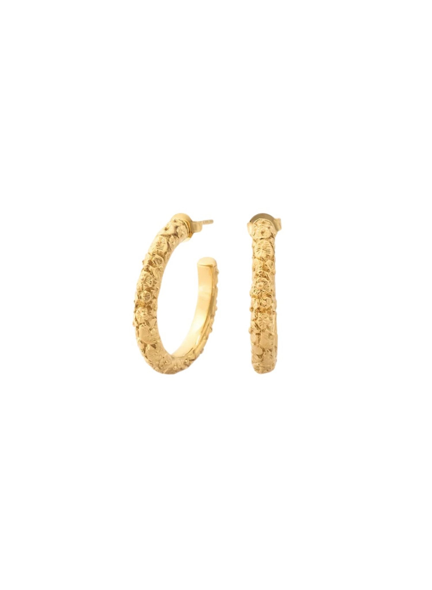 Carina Hardy - LP Hoops - Gold - Meg