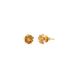 Carina Hardy - LP Lotus Studs - Gold - Meg