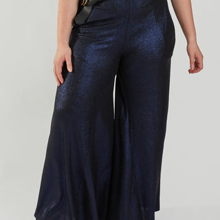 Luis Pant - Navy Sparkle - L (RESALE ITEM) - Meg